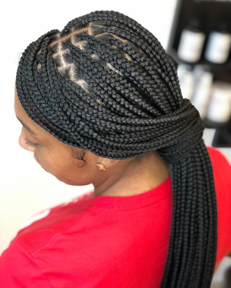 Box Braids Ponytail Hairstyle