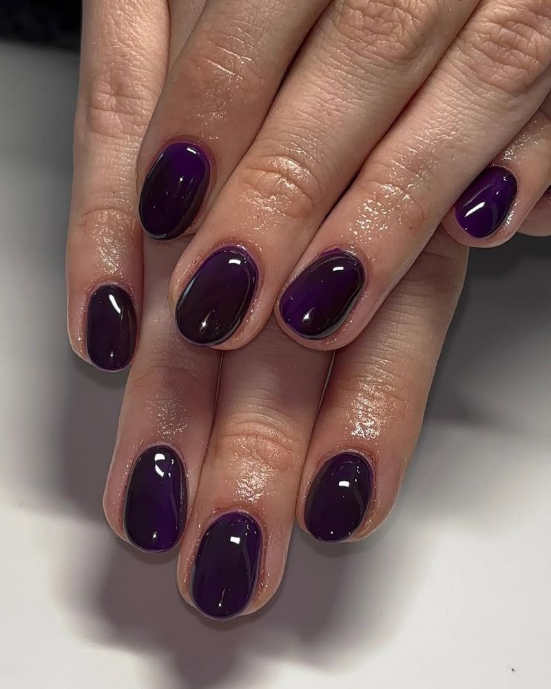 Midnight Plum