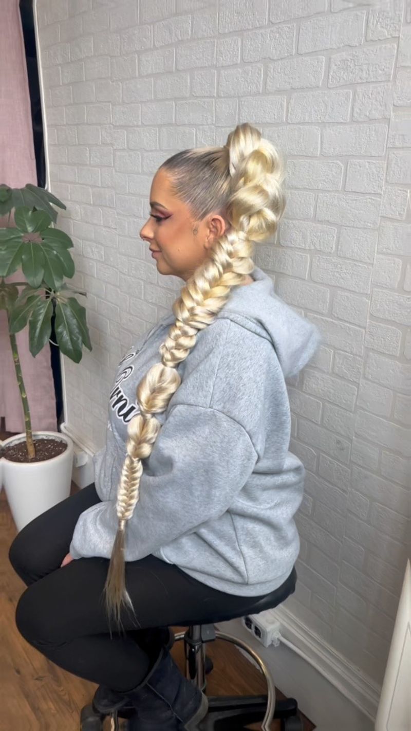 Two-Toned Braid Ponytail