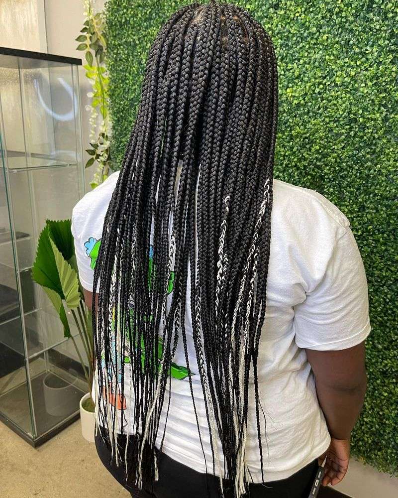 Classic Box Braids