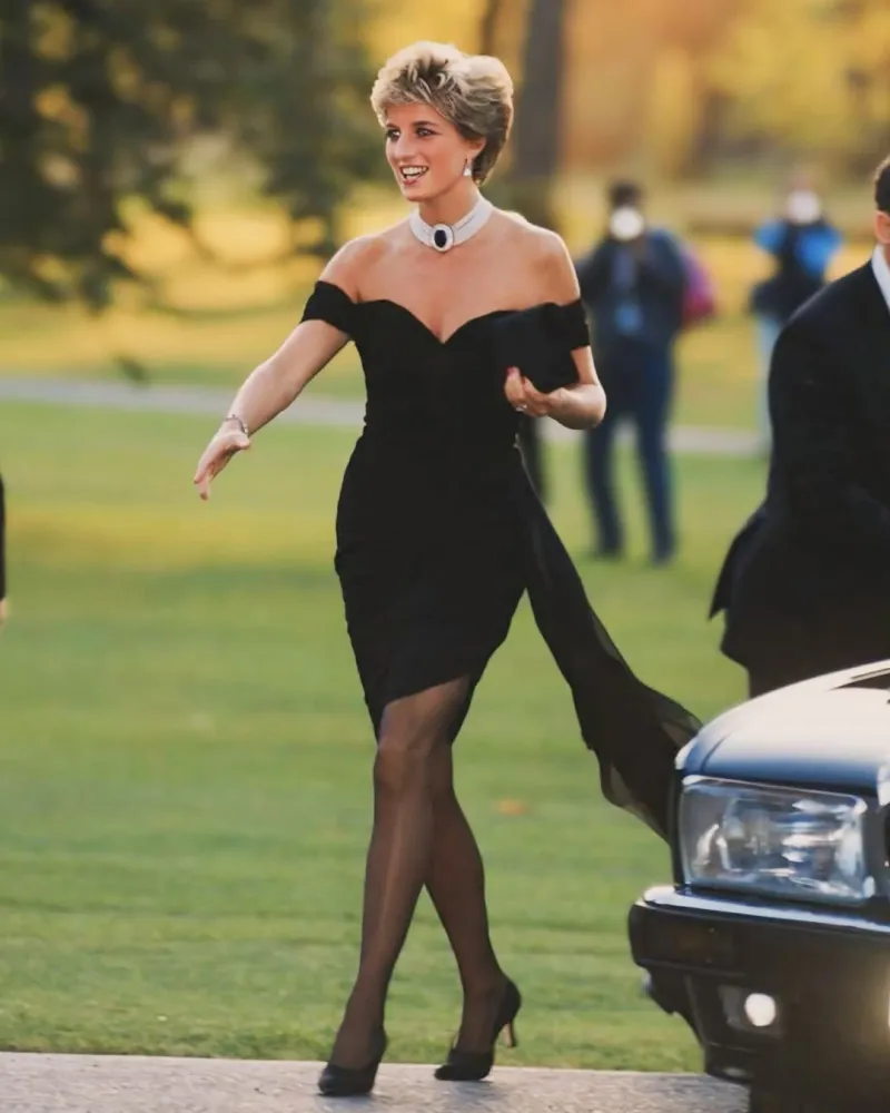 Princess Diana's Revenge Dress