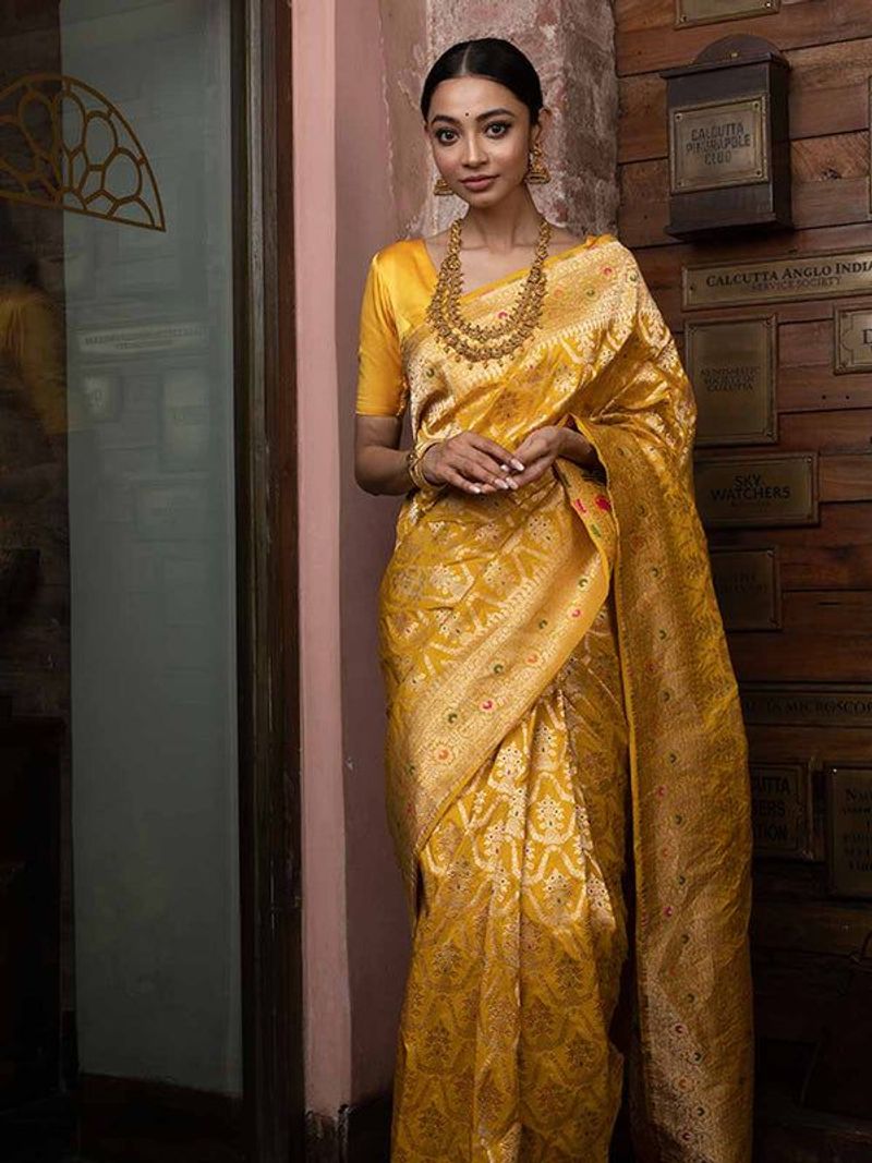 Indian Sari