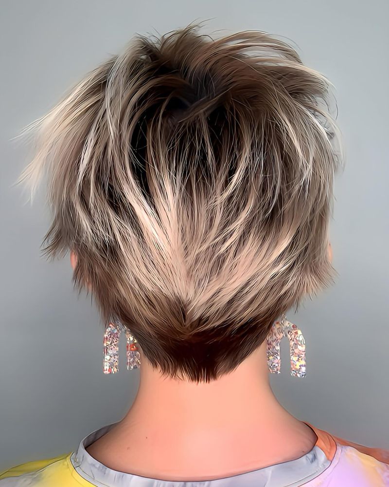 Long Pixie with Textured Top