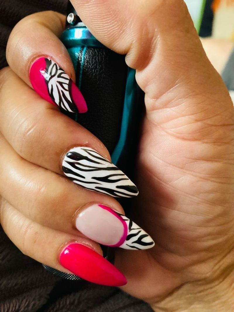 Colorful Zebra Stripes