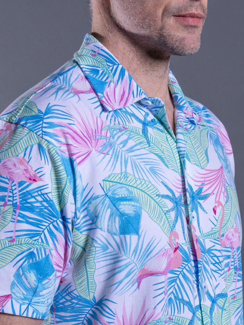Pastel-Colored Oxford
